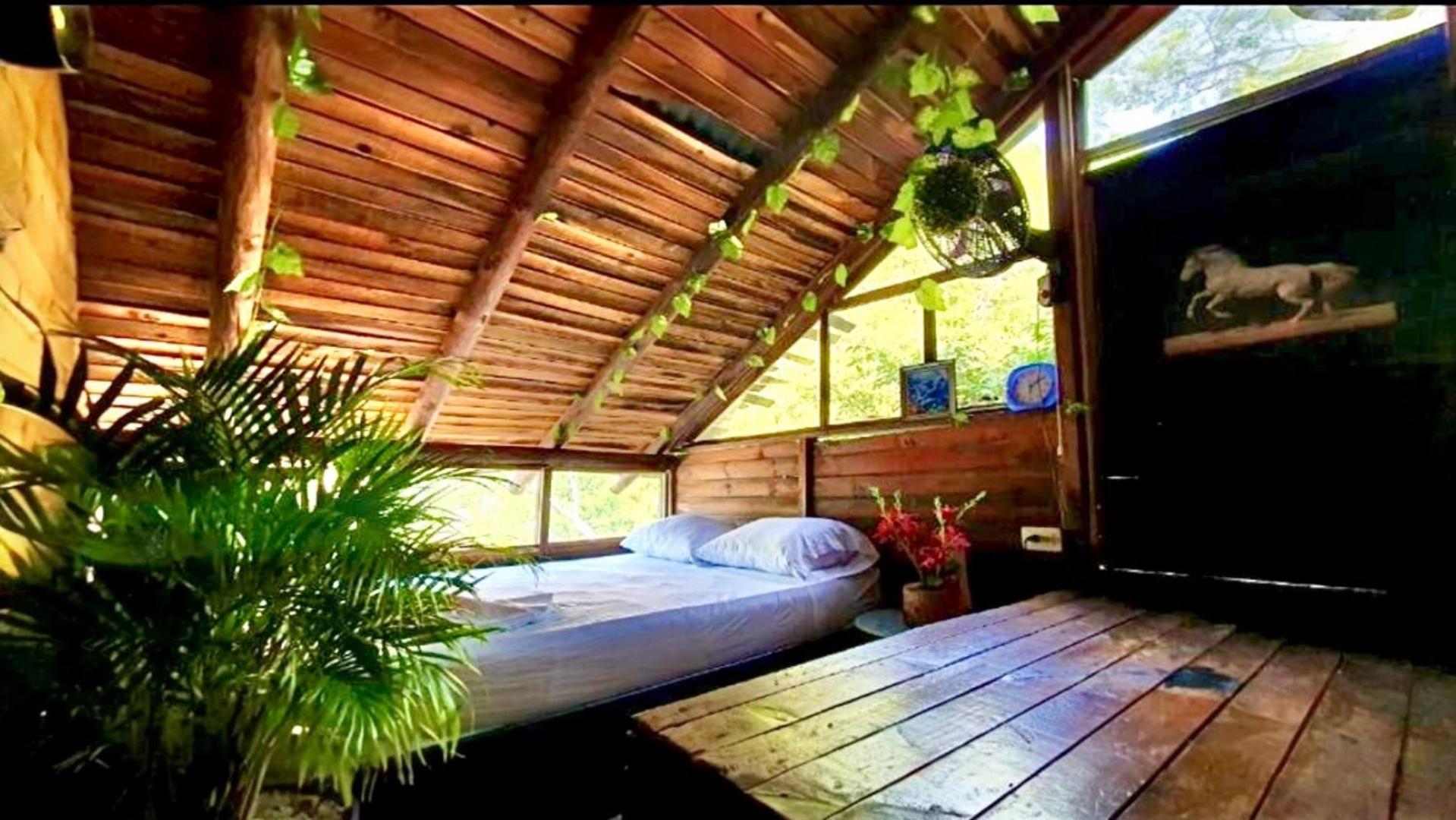 Tamarindo Beach Hostel Taganga Exterior photo